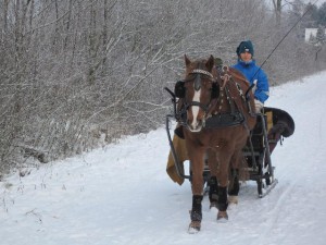 Ronn vor dem Schlitten mit Paula